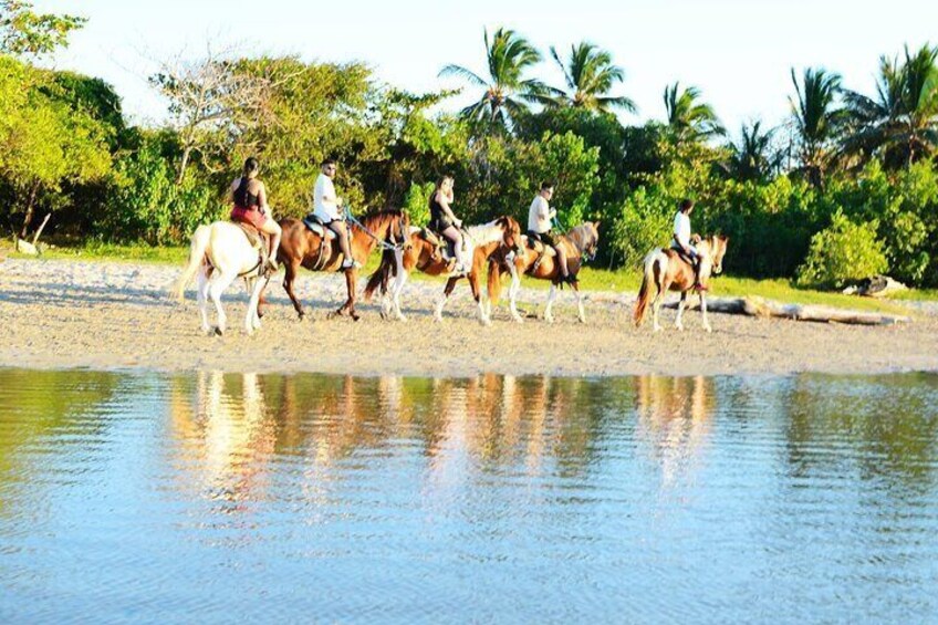 2-Hour Horseback Riding Tour at Sunset from Punta Cana