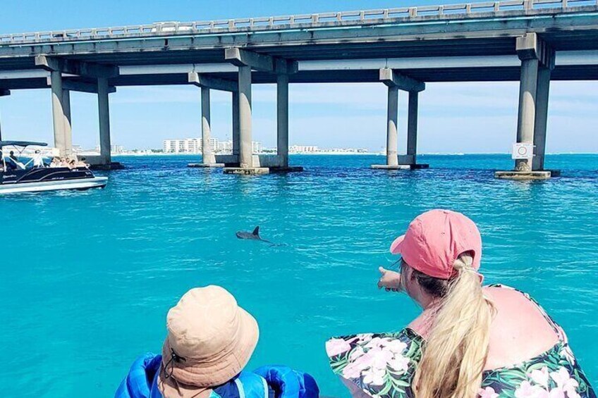 Private Captained Pontoon to Crab Island with Dolphin Cruise