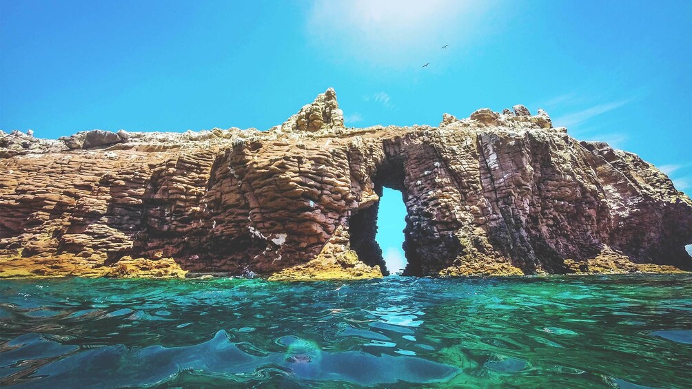 Show item 4 of 10. Scenic Sea of Cortes Adventure in Mexico