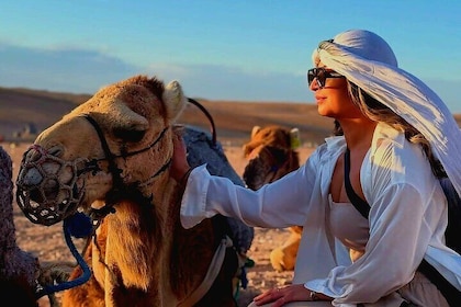 Marrakech: Camel Ride & Quads on Sunset and Fabulous Dinner Show