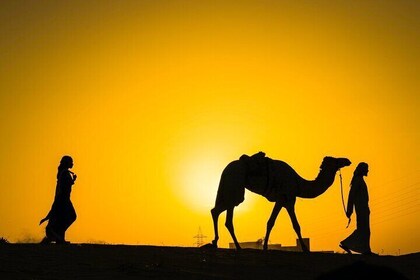 Agafay Desert & Camel Ride on Sunset and Romantic Dinner Show