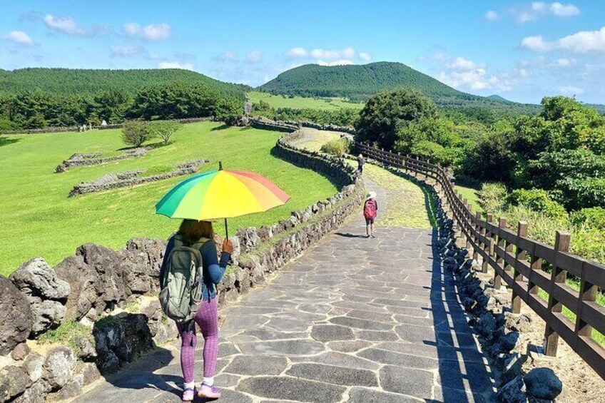 Private Tour Sangumburi Crater & Jeju stone park in jeju island 