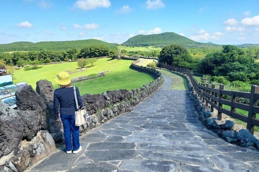 Private Tour Sangumburi Crater & Jeju stone park in jeju island 