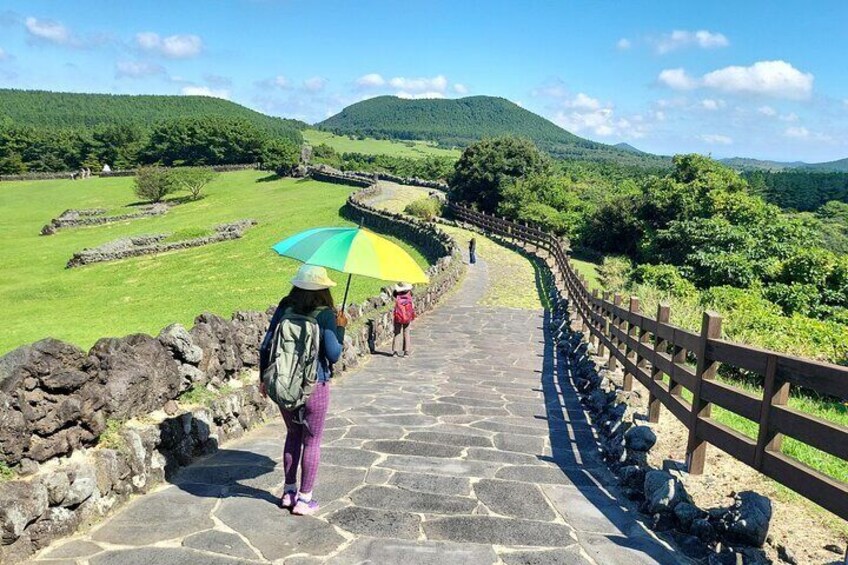 Private Tour Sangumburi Crater & Jeju stone park in jeju island 