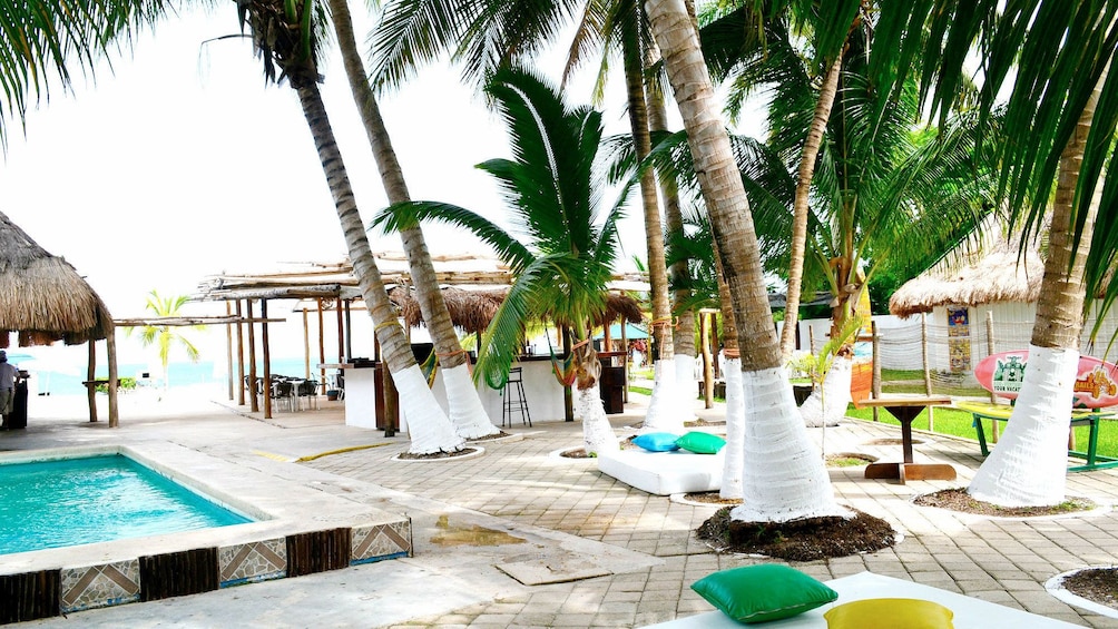 Views on the The Joy of Chocolate and Snorkeling Tour in Cozumel
