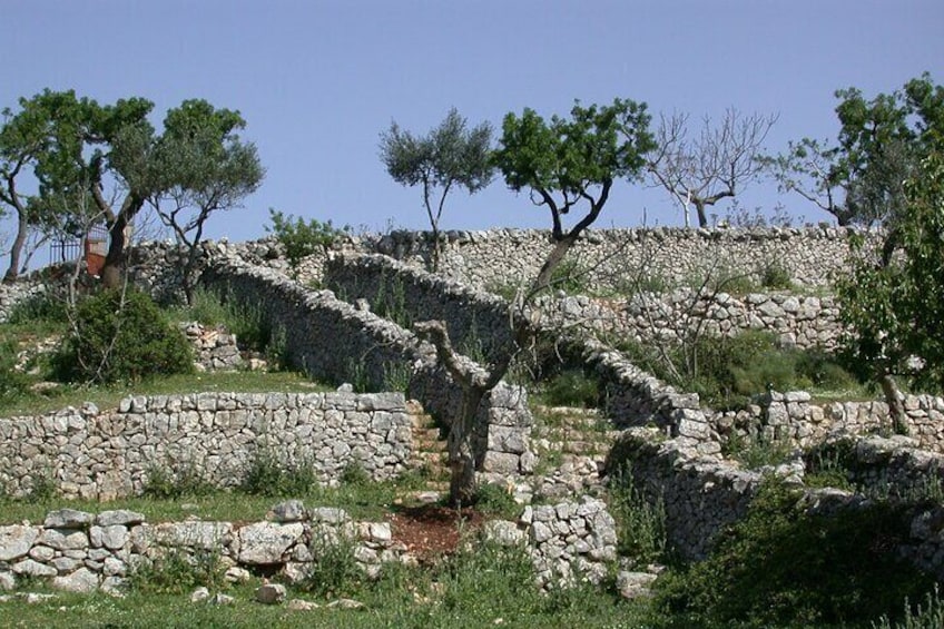 The secret origins of the trulli, private tour Alberobello 2 hours