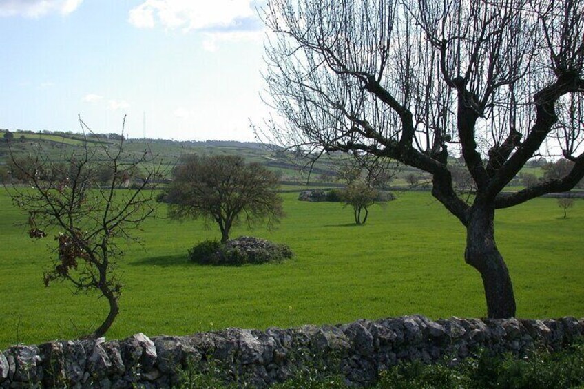 The secret origins of the trulli, private tour Alberobello 2 hours