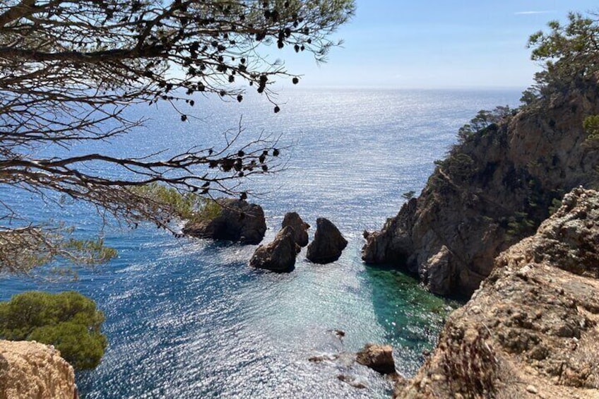 Very small group excursion to Tossa de Mar with hotel pick up