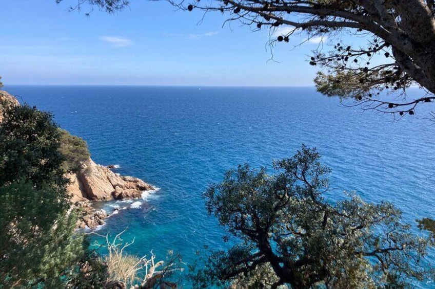 Very small group excursion to Tossa de Mar with hotel pick up