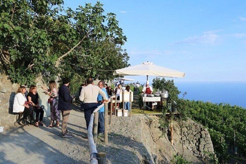 Ischia Wine Tasting Experience: Vineyard's Tour with Transfer