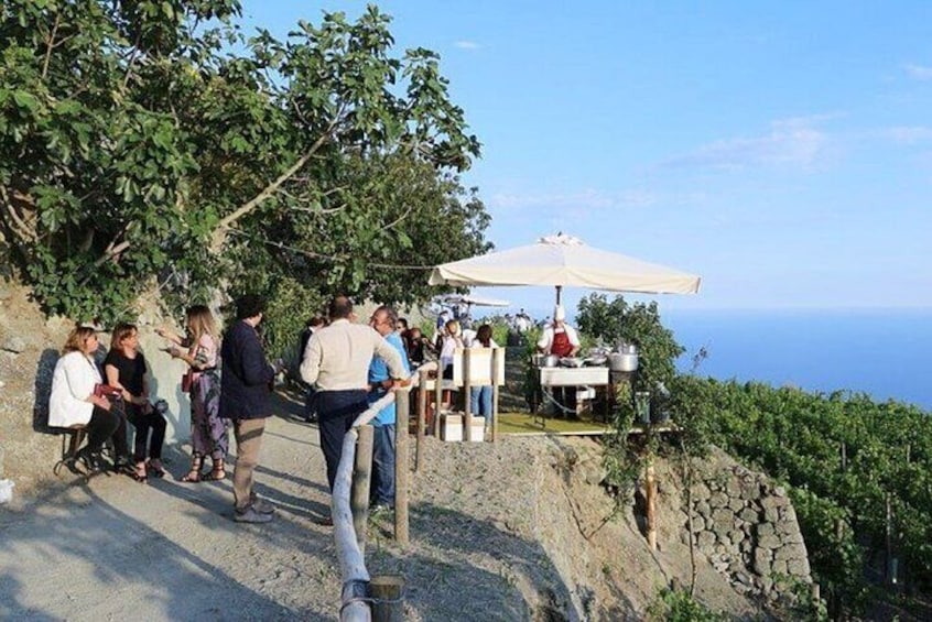 Ischia Wine Tasting Experience: Vineyard's Tour with Transfer