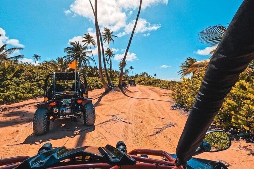 San juan; El Yunque Waterfall Adventure & Beach Buggy W. Transfer