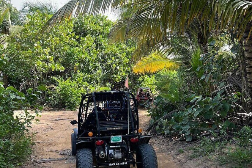 San juan; El Yunque Waterfall Adventure & Beach Buggy W. Transfer