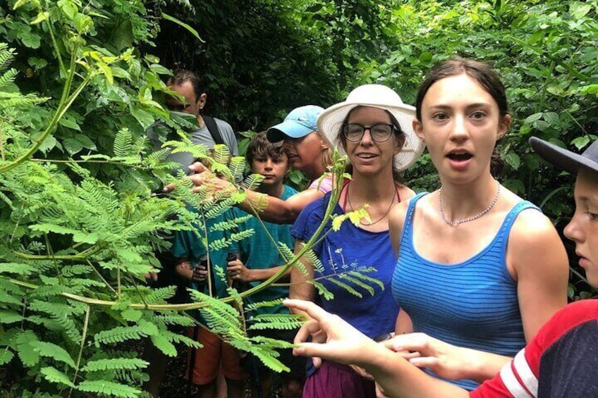 EcoHike experience through the jungle, mountains and hidden beach
