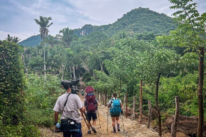 EcoHike experience through the jungle, mountains and hidden beach