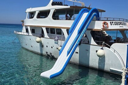 DREAM of TURTLES - Luxury Yacht Cruise - BBQ meal - 1 free drink