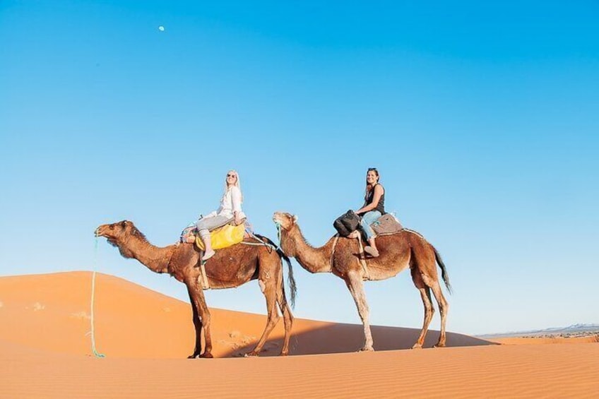Camel ride in agadir