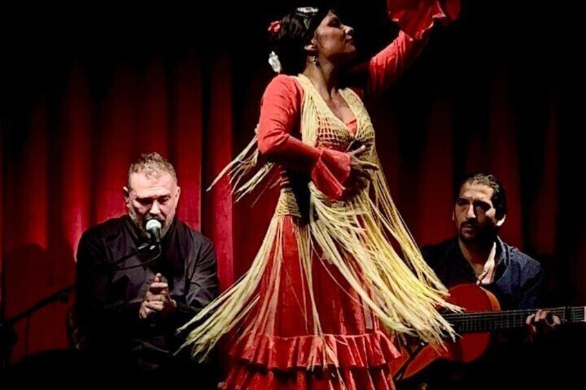 Flamenco PREMIUM Show and Tour Guitar Museum with tapas or drinks