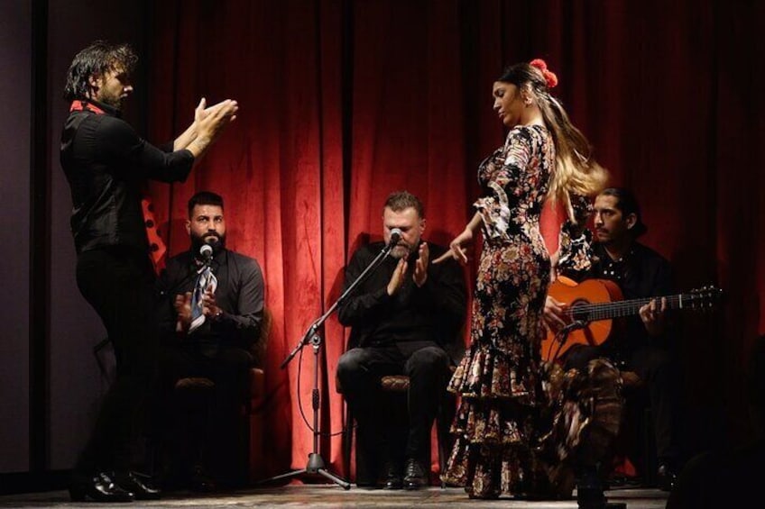 Flamenco Casa Sors & Guitar Museum with Dinner or Drink