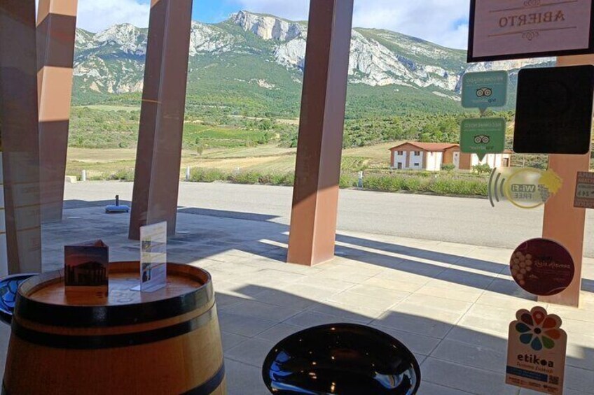 Full Rioja Wine Tour with Lunch from San Sebastian Private Tour