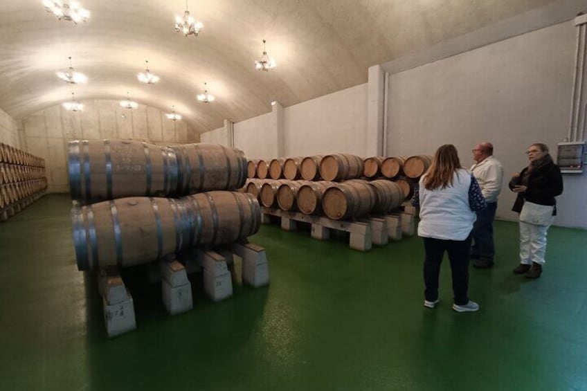 Full Rioja Wine Tour with Lunch from San Sebastian Private Tour