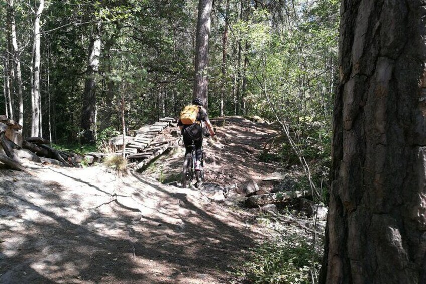 Mountain Biking in Stockholm Forests for Experienced Riders