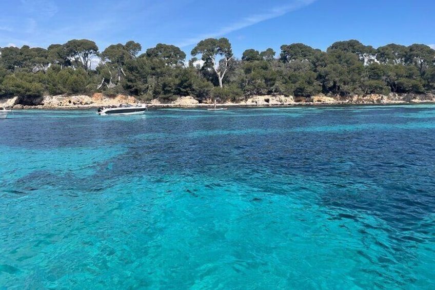 Discover the Lérins Islands and the Bay of Cannes by Private Boat