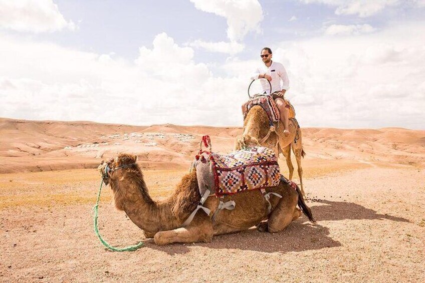 Agafay Desert - Quad camel and dinner show