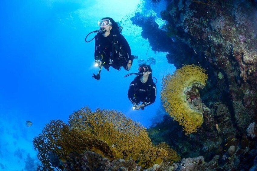 Full-Day Racha Yai Private Scuba Diving Course from Phuket