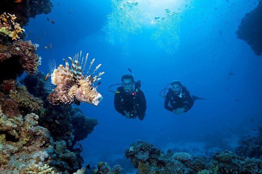 Full-Day Racha Yai Private Scuba Diving Course from Phuket