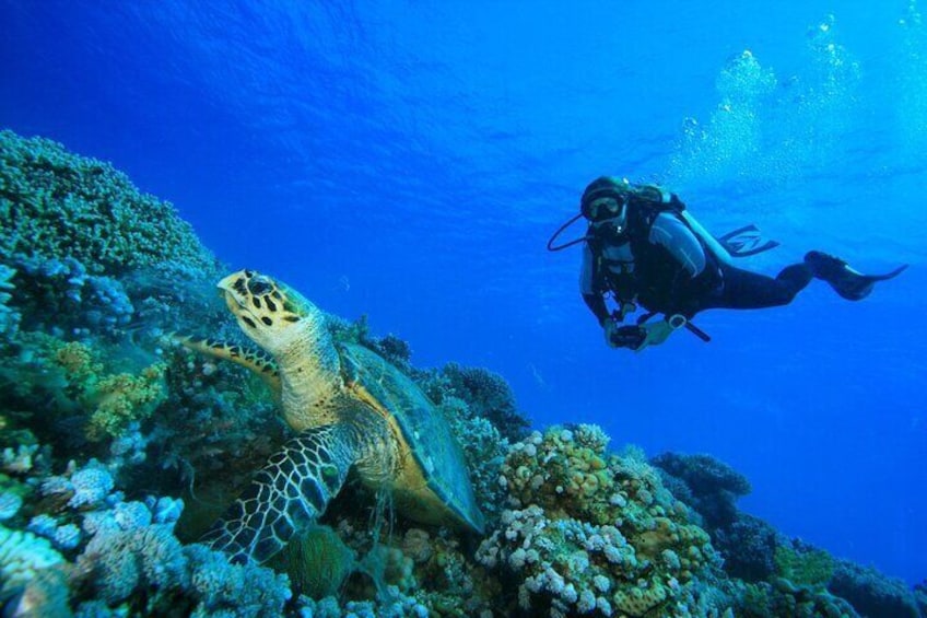 Full-Day Racha Yai Private Scuba Diving Course from Phuket