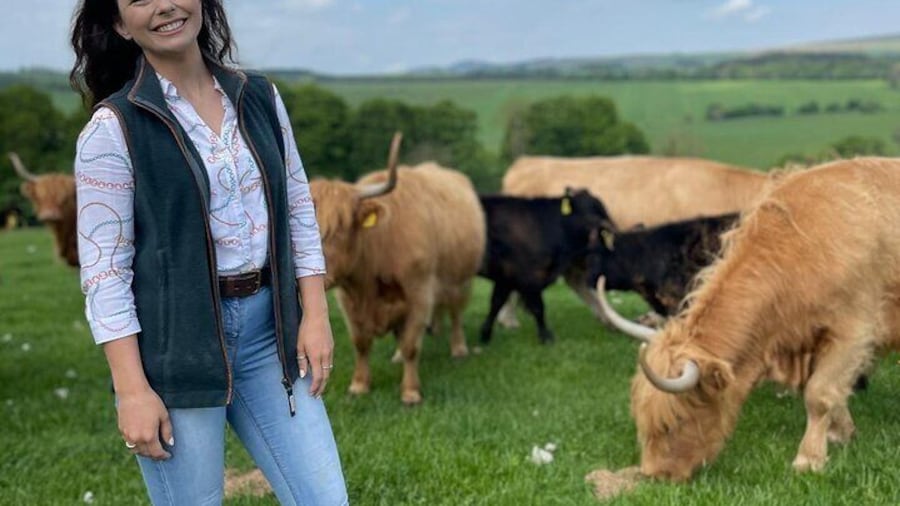 Farm Attraction - Highland Cows, Animal Feeding, Wholesome fun!