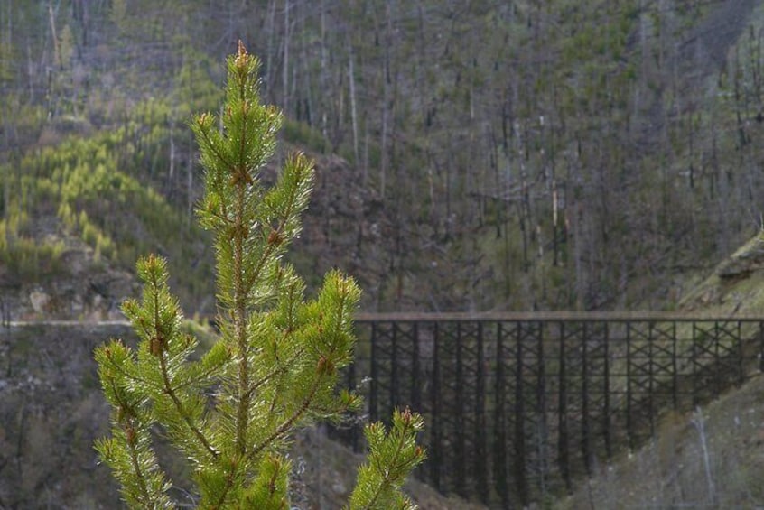 Bicyle Tour on Historical Kettle Valley Railway from Myra Canyon to Penticton