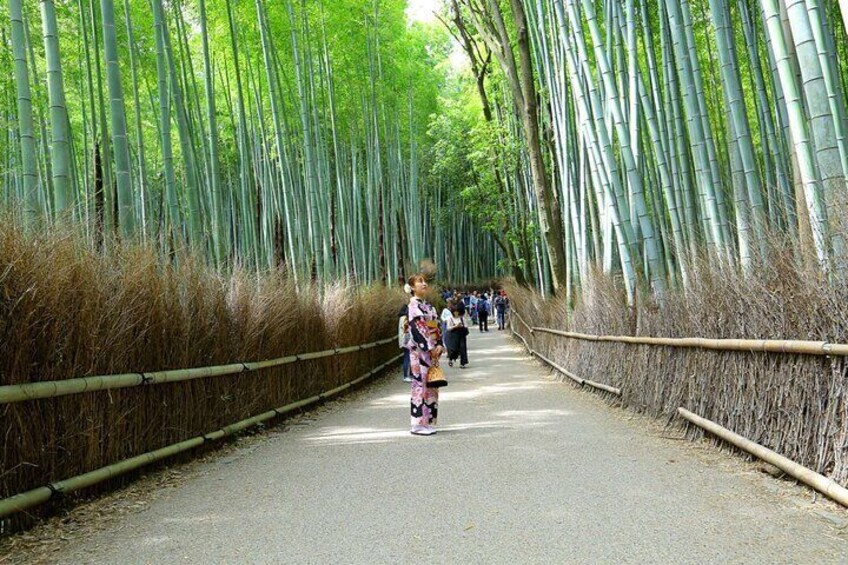 Private Tour in Arashiyama with Tea Ceremony,Cycling Experience