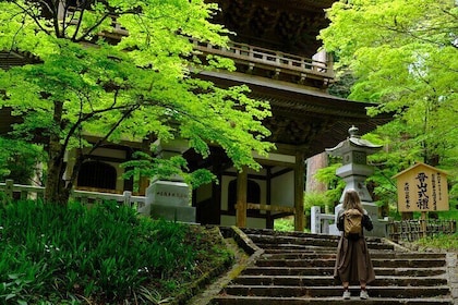 Forest Bathing in Temple and Enjoy onsen with healing power