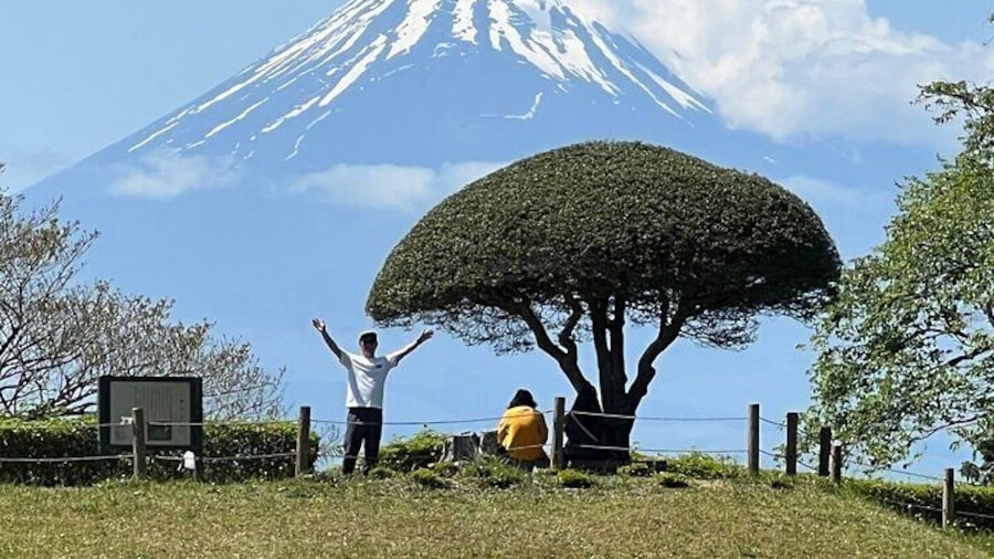 Hike Hakone Hachiri with certified mountain guide