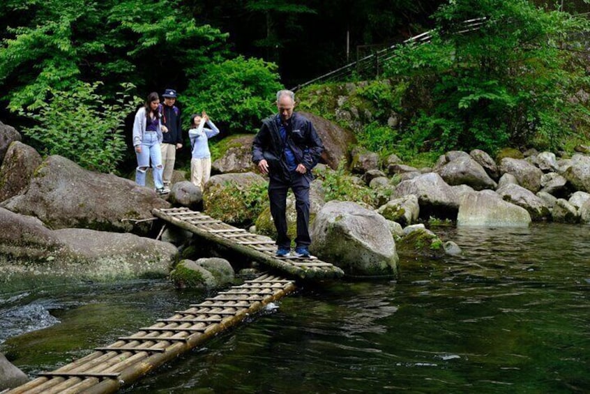 Hike Japan Heritage Hakone Hachiri with certified mountain guide 