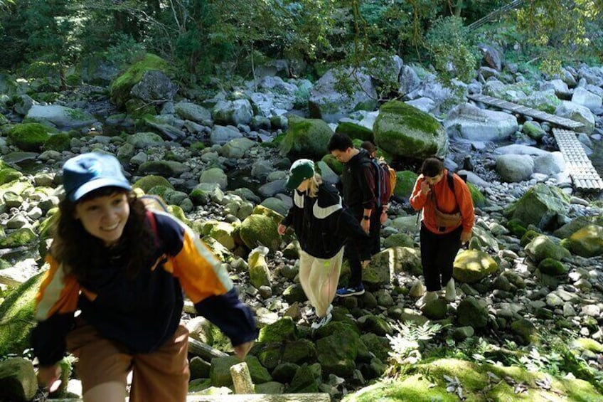 Hike Japan Heritage Hakone Hachiri with certified mountain guide 