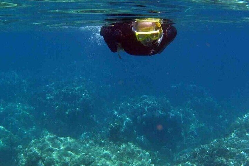 Half Day Snorkeling Experience in Kos Greece