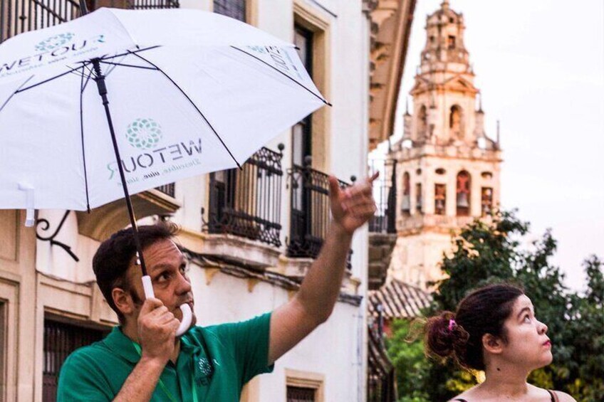 Walking Tour in Heritage Cordoba