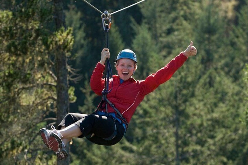 Zipline Adventure