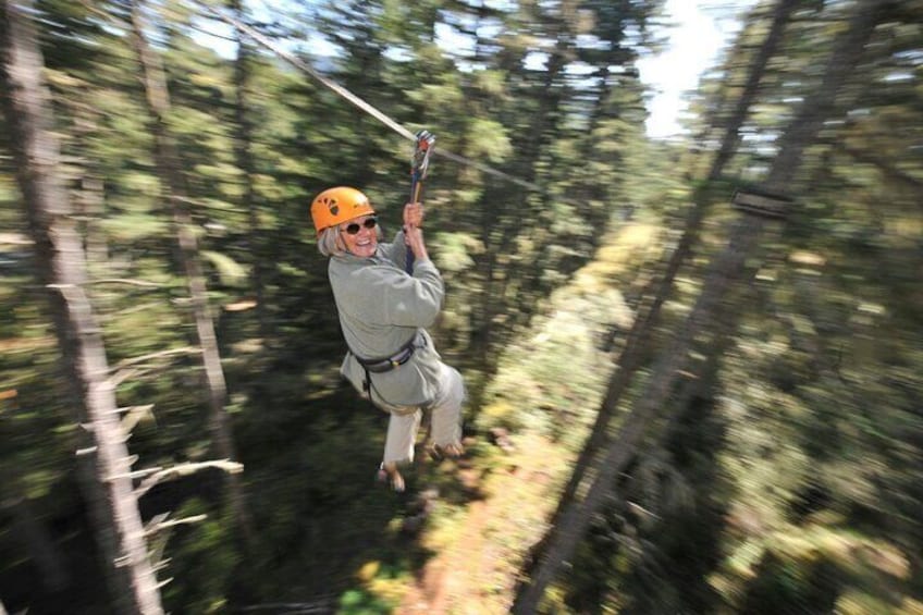 Zipline Adventure Tour