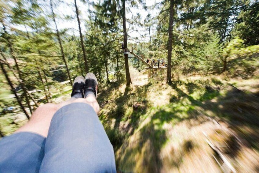 Zipline Adventure Tour