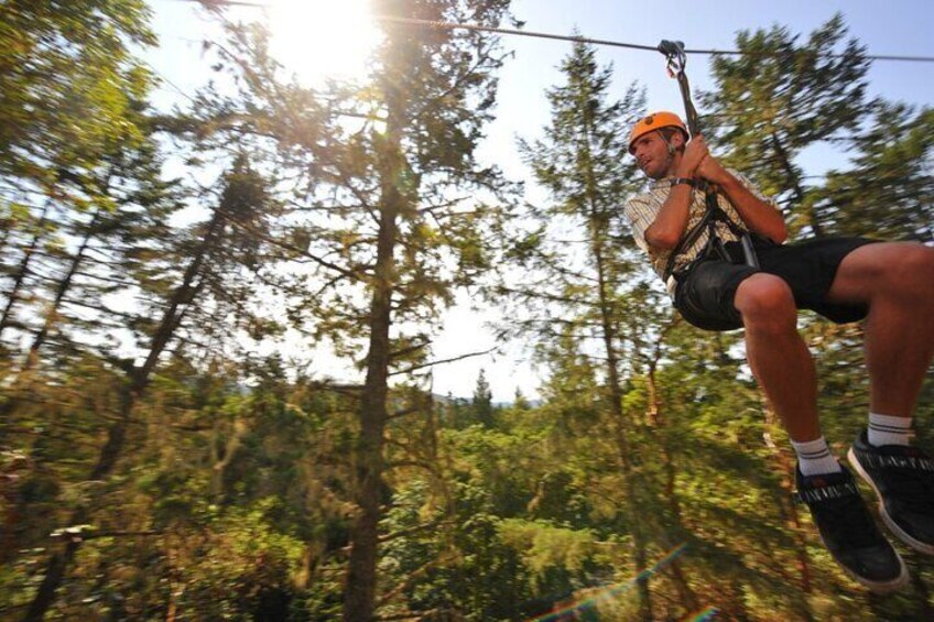 Zipline Adventure Tour