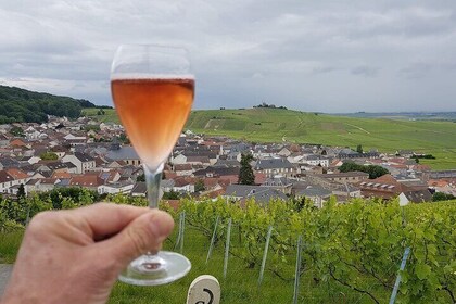 Champagne Tour from Paris by minivan with Reims Cellars & Champagne Tasting