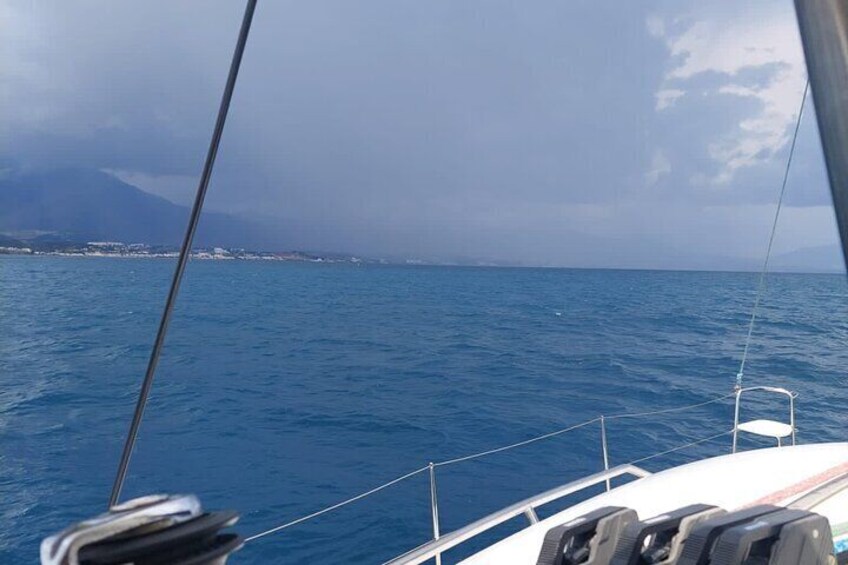 Dolphin trips on a catamaran