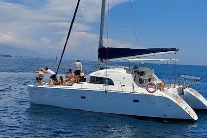 Dolphin trips on a catamaran