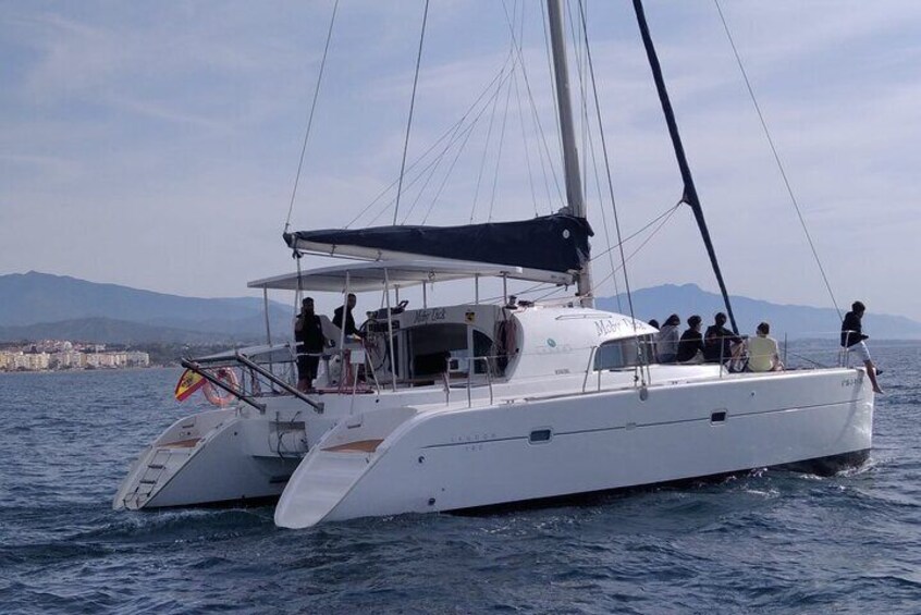 Dolphin trips on a catamaran