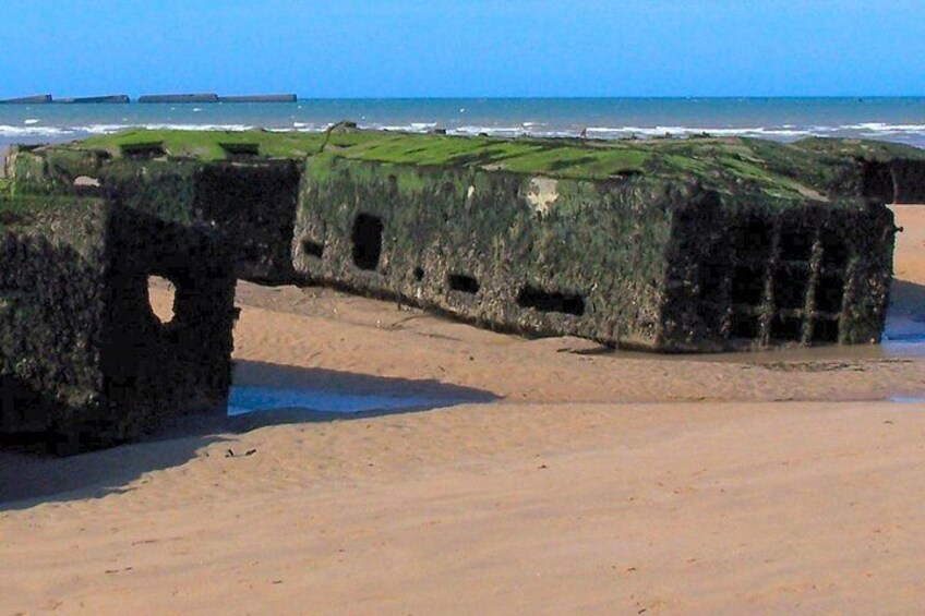 Normandy D-Day Landing Beaches Guided Tour from Paris