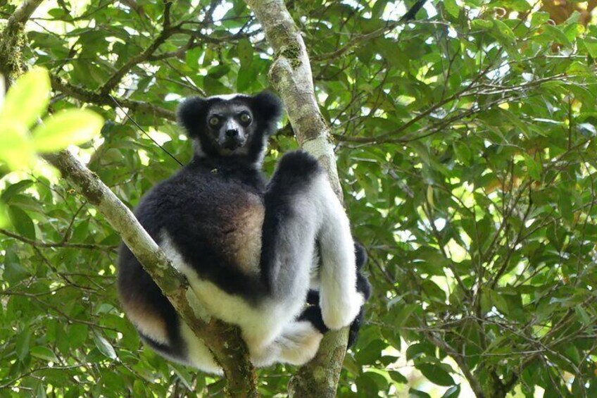 12 Days Private Tour in Eastern Madagascar